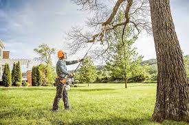 How Our Tree Care Process Works  in Crawfordville, FL